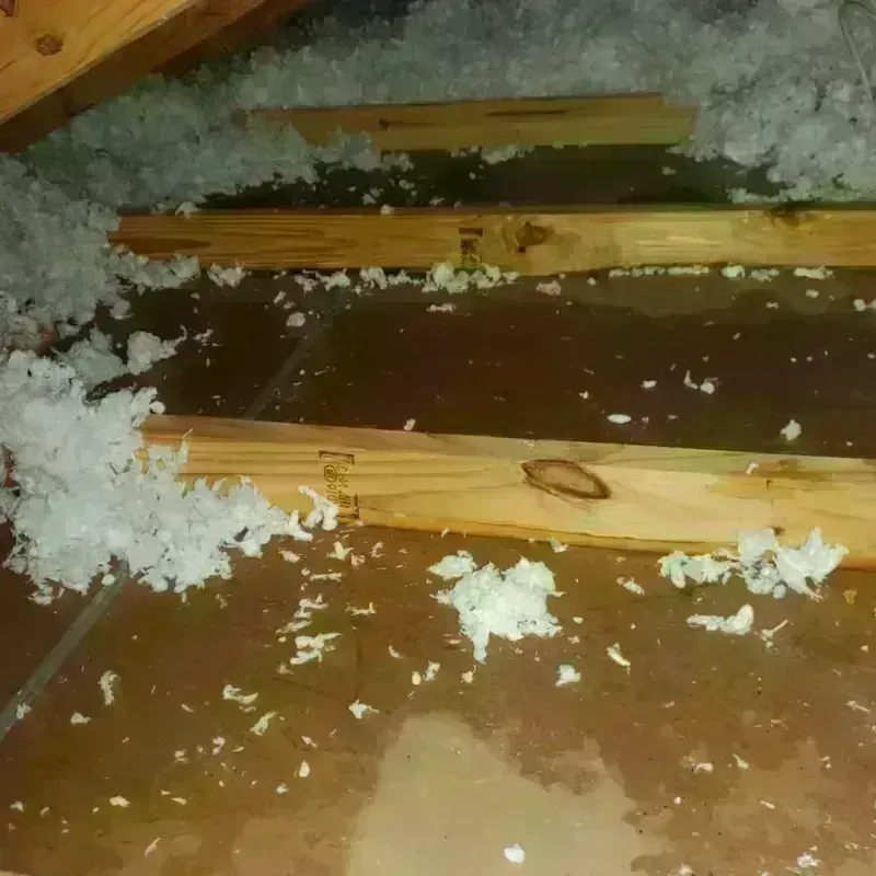 Attic Water Damage in East Williston, NY